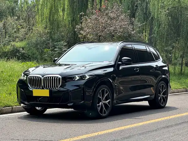 BMW X5 2024