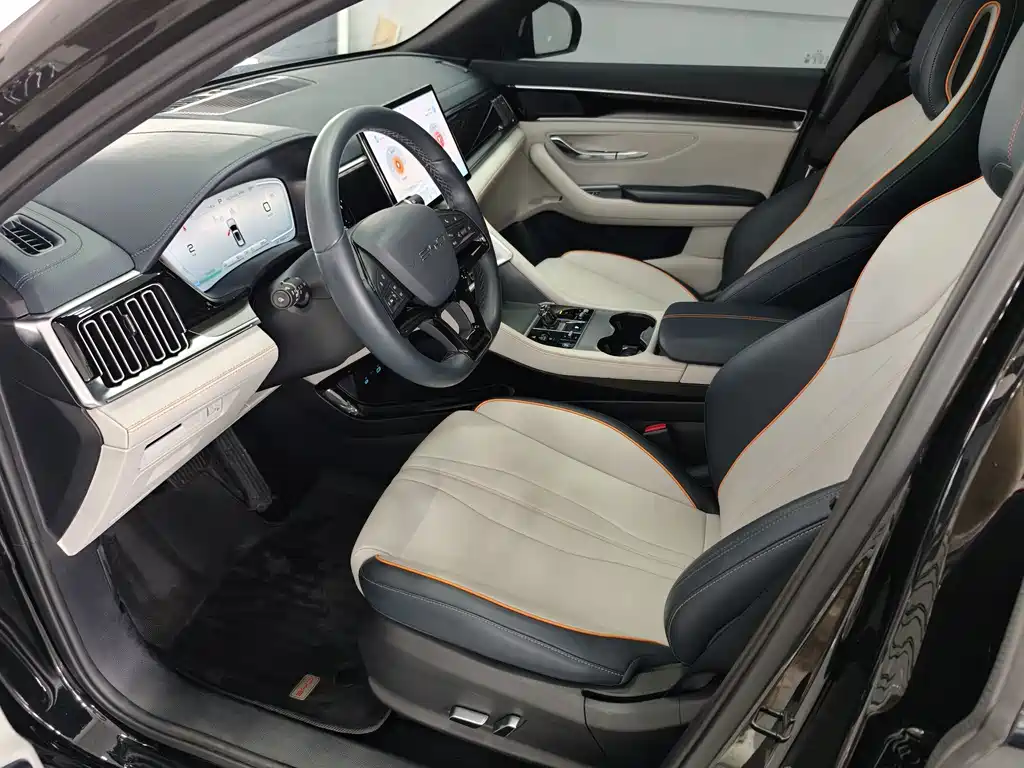 BYD Song PLUS New Energy 2024 — фото 14