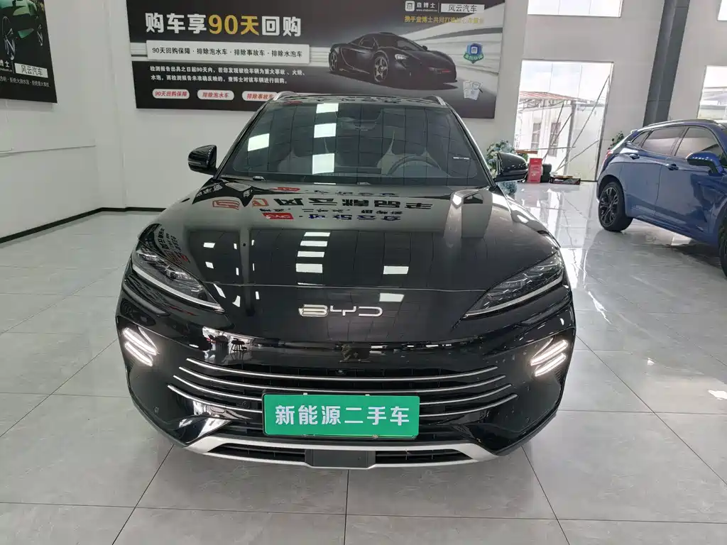 BYD Song PLUS New Energy 2024 — фото 2