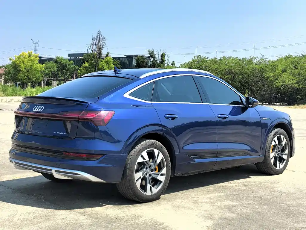 Audi e-tron 2021