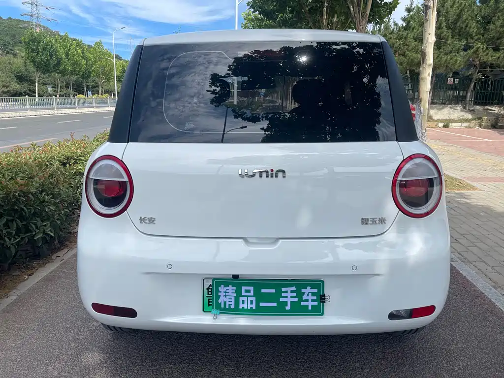 Qiyuan Lumin 2024