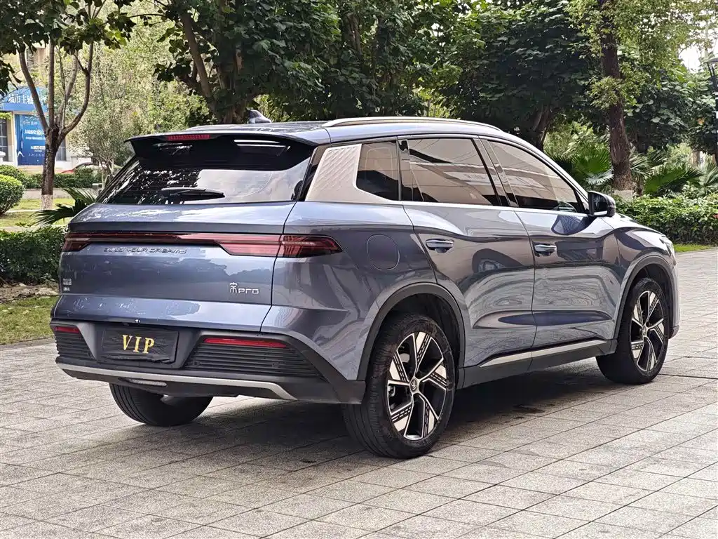 BYD Pro New Energy 2024 — фото 14
