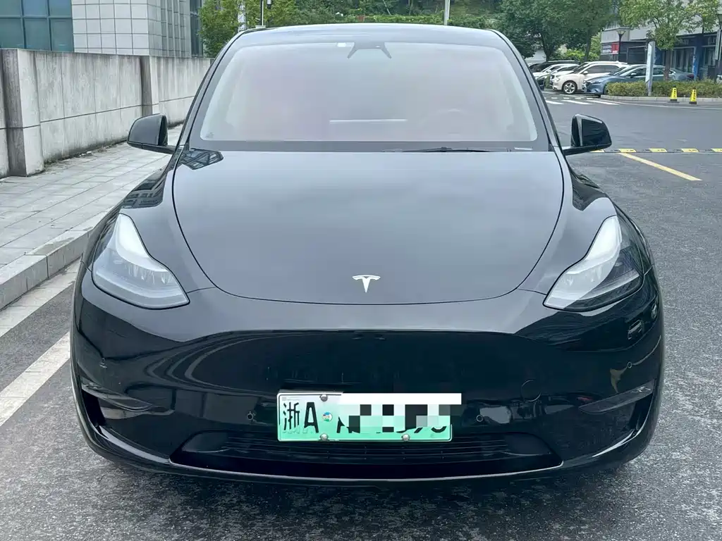 Tesla Model Y 2022 — фото 2