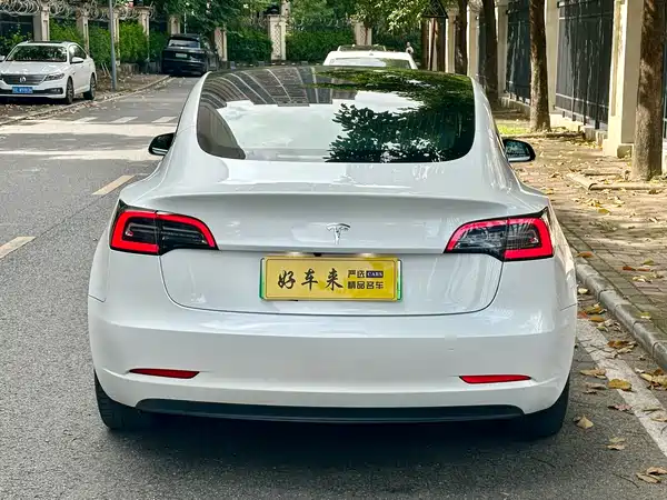 Tesla Model 3 2019