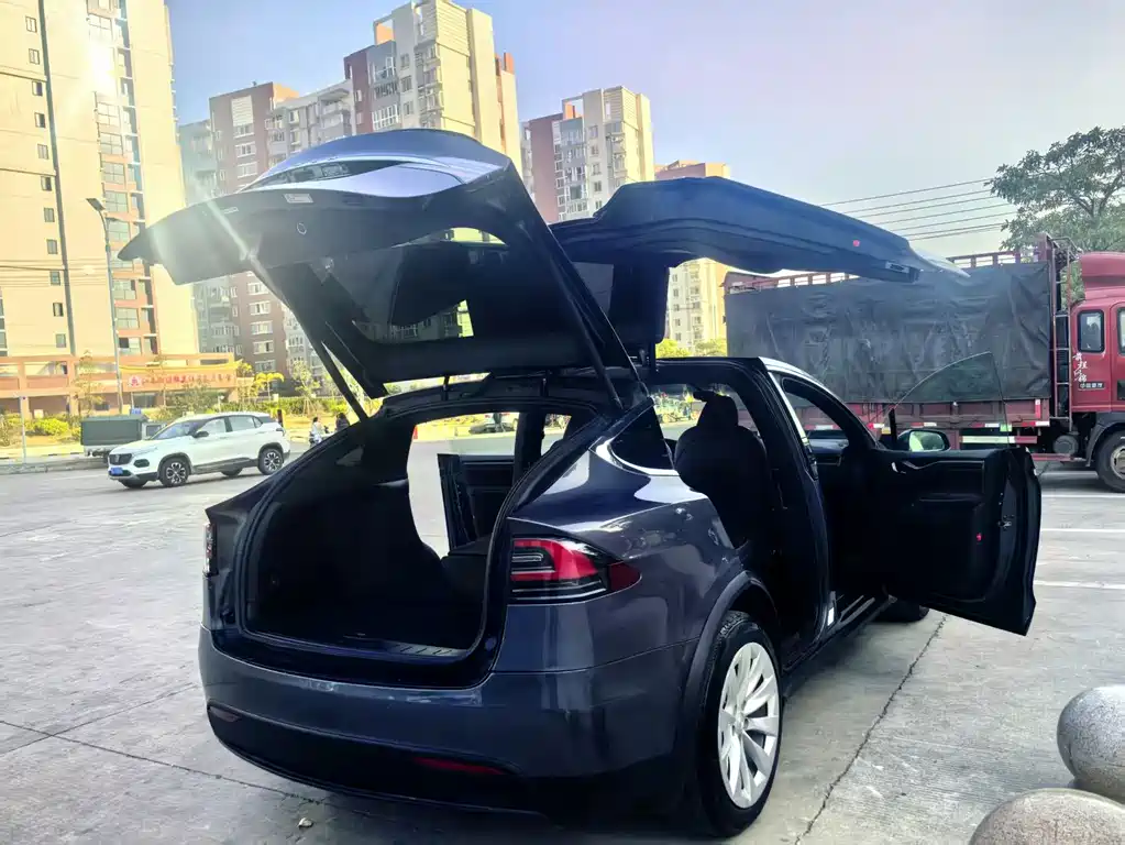 Tesla Model X 2020 — фото 9