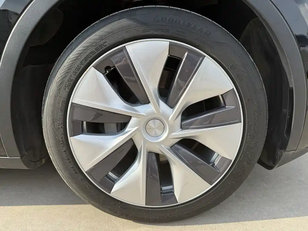 Tesla Model Y 2023 — фото 15