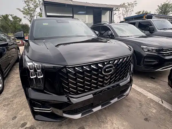 GAC Trumpchi GS8 2022
