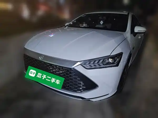 BYD Qin PLUS 2021