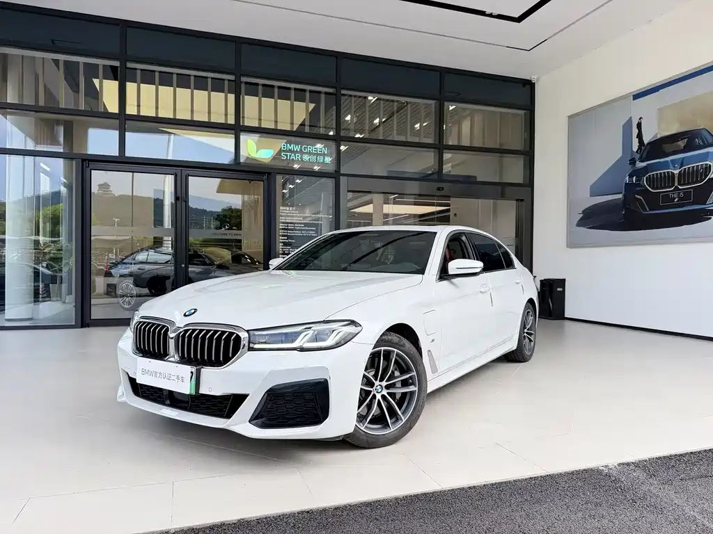 BMW 5 Series New Energy 2021