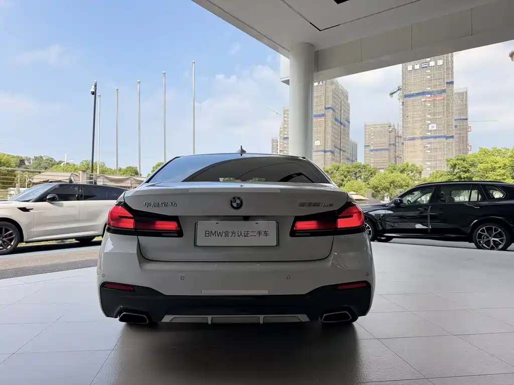 BMW 5 Series New Energy 2021