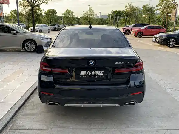 BMW 5 Series 2021