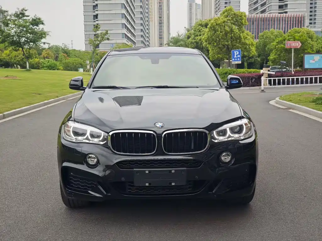 BMW X6 2019 — фото 2