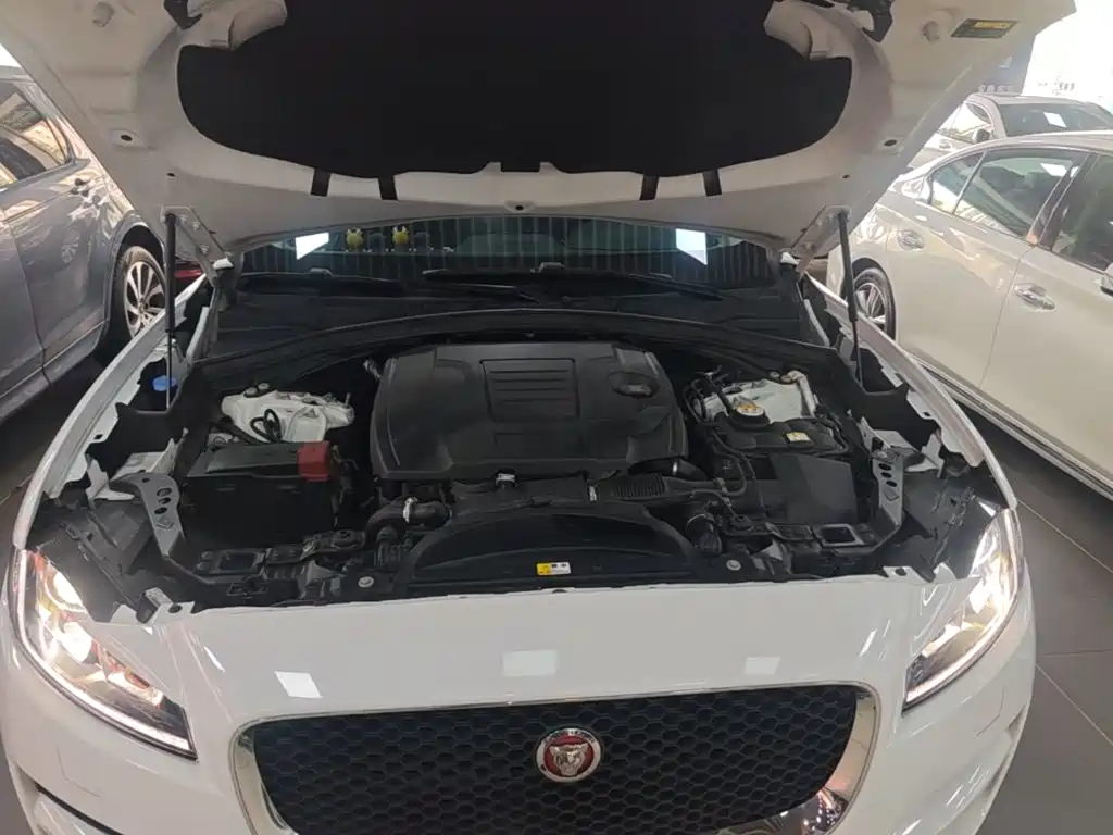 Jaguar F-PACE 2021 — фото 20