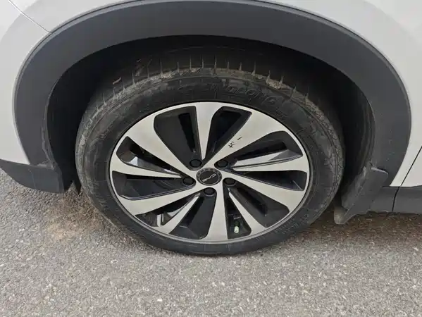 BYD Song PLUS New Energy 2023