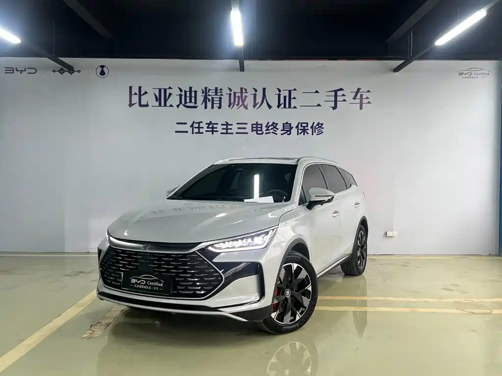 BYD Tang New Energy 2023 — фото 1