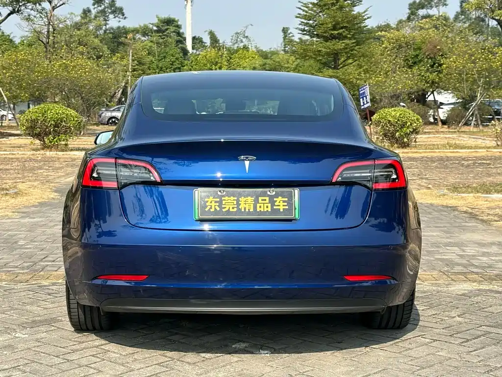 Tesla Model 3 2019 — фото 5