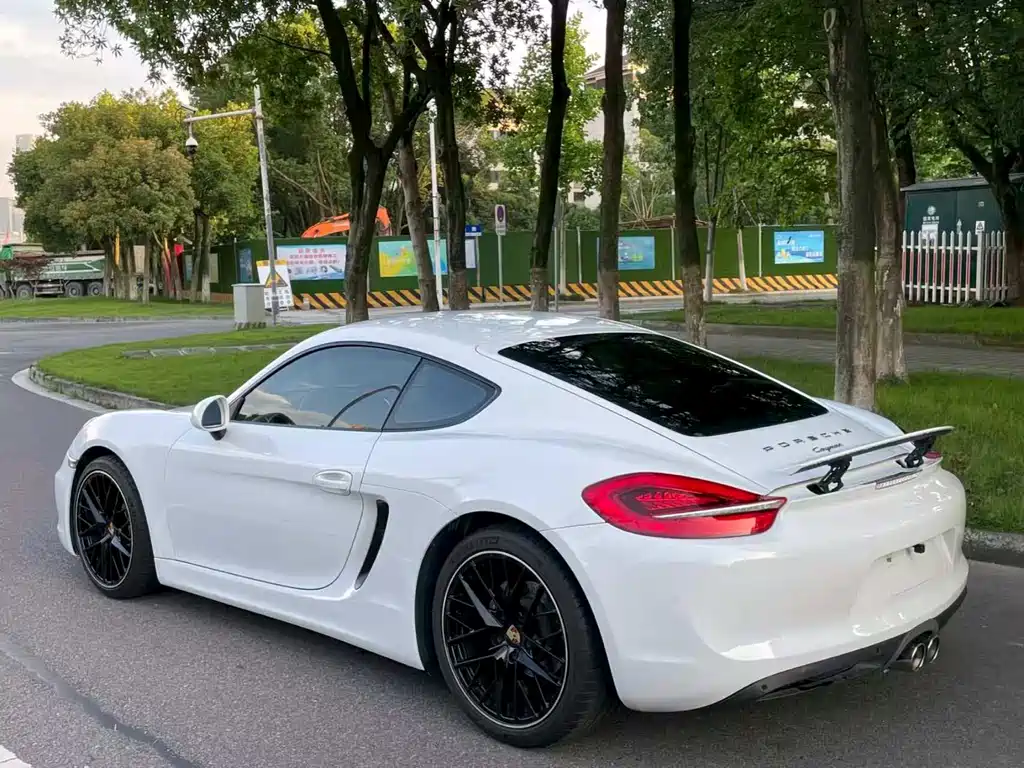 Porsche Cayman 2015 — фото 25