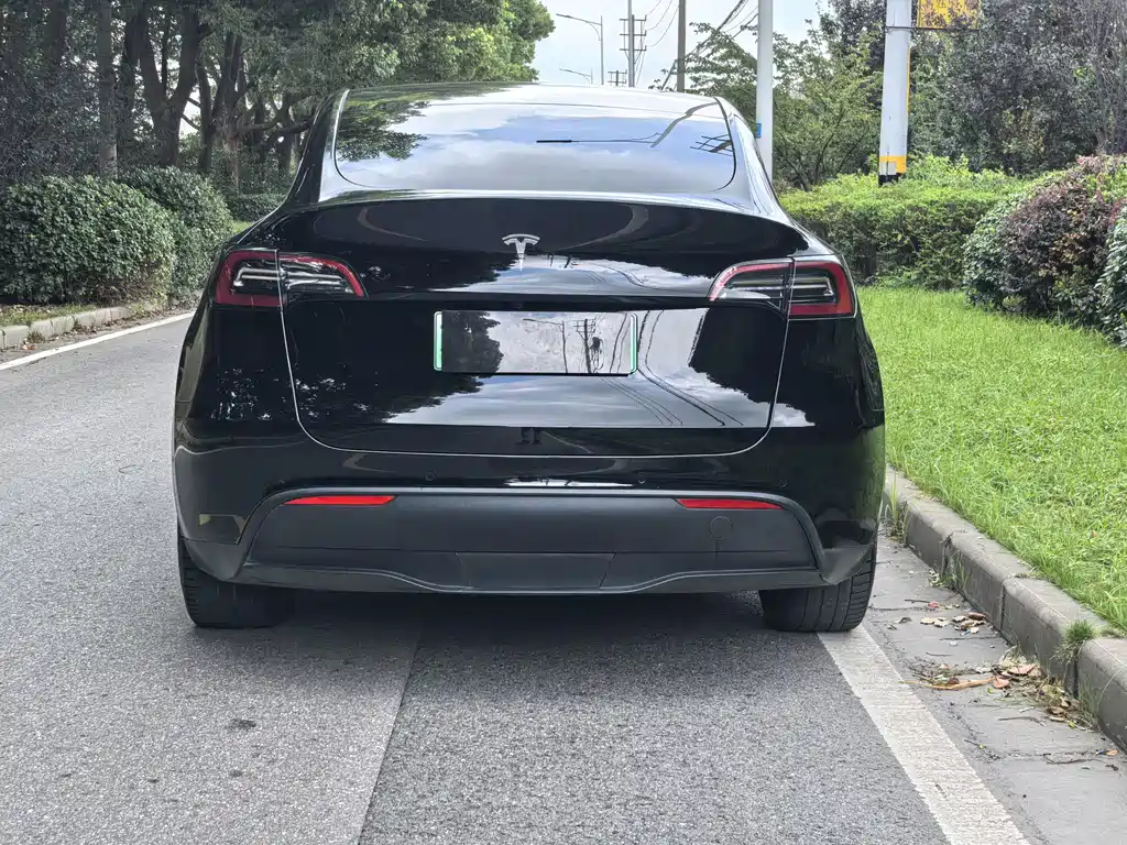 Tesla Model Y 2021 — фото 6