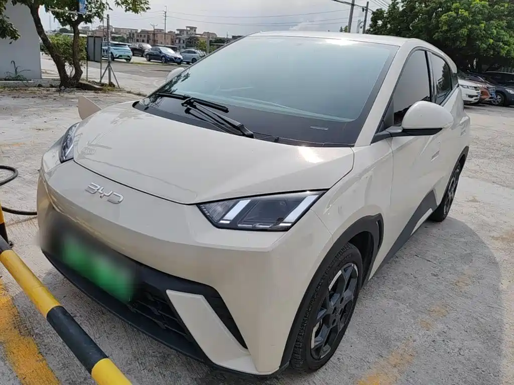 BYD Seagull 2025