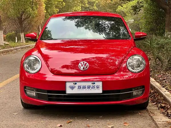 Volkswagen Beetle 2013