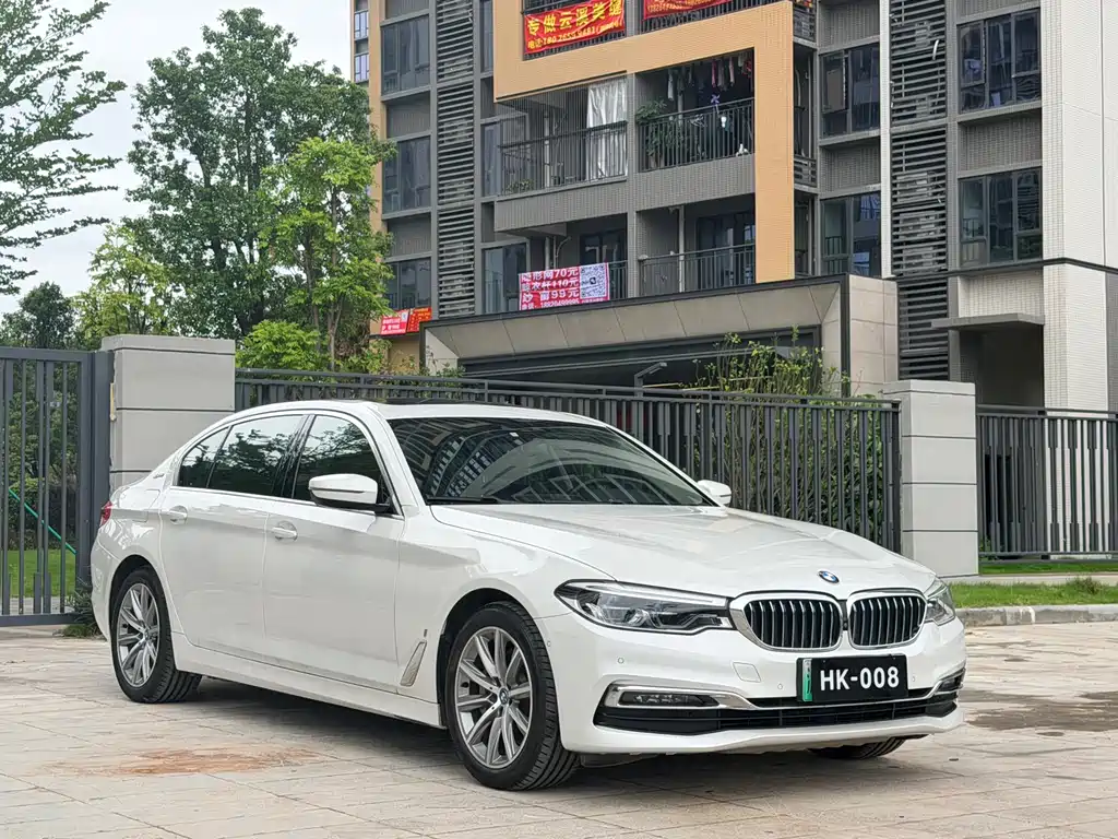 BMW 5 Series New Energy 2019