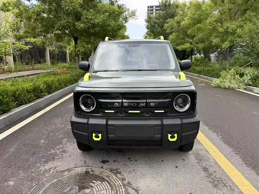 Geely Galaxy Panda 2024