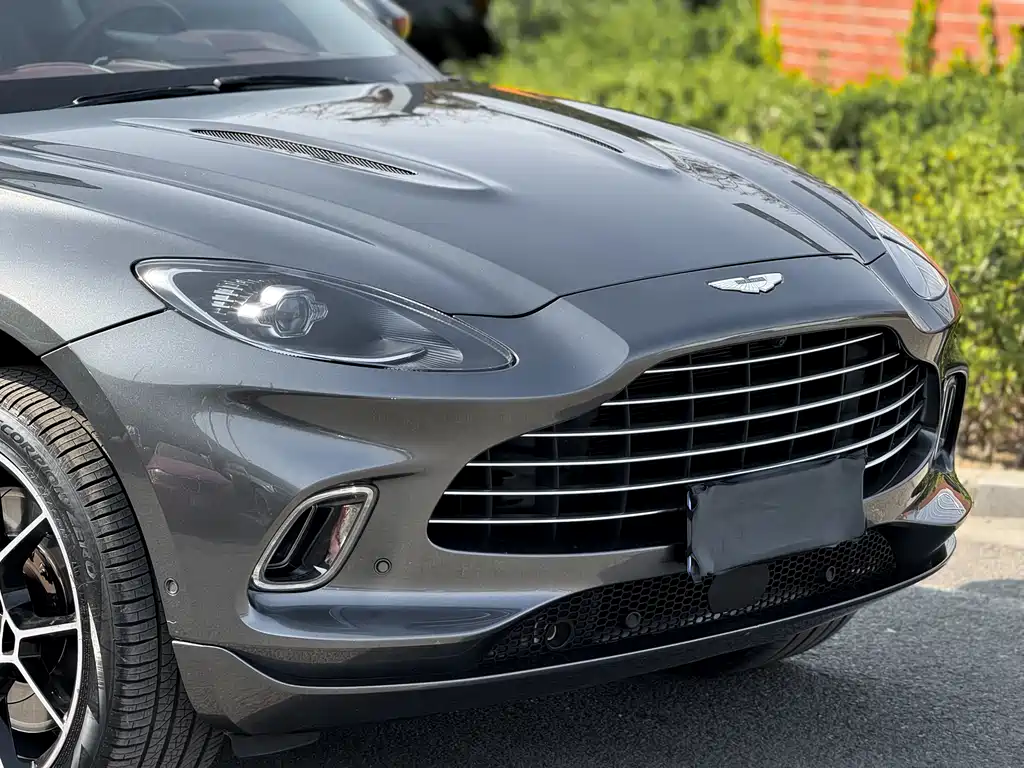 Aston Martin DBX 2021 — фото 12