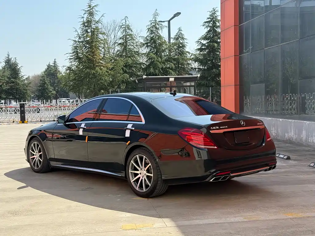 Mercedes-Benz S-Class AMG 2014 — фото 18