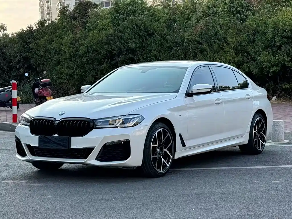 BMW 5 Series 2019 — фото 1