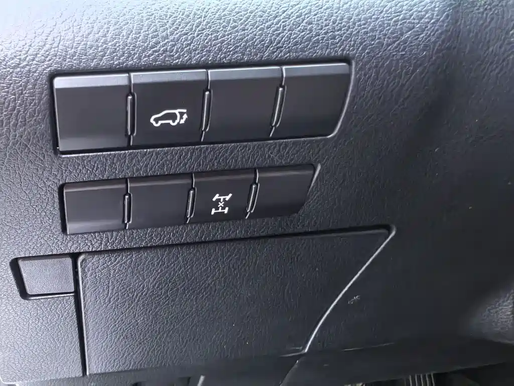 Lexus RX 2019 — фото 18