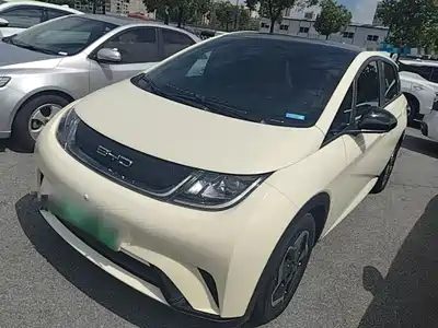 BYD Dolphin 2022