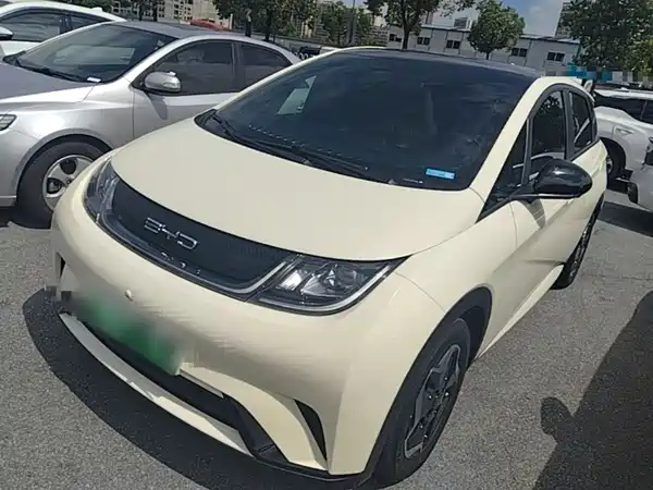 BYD Dolphin 2022