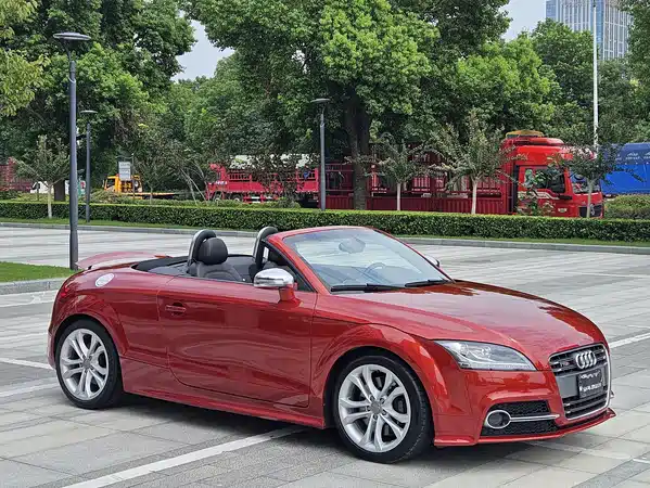 Audi TTS 2013