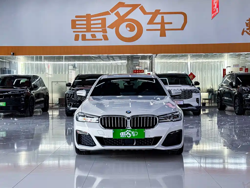 BMW 5 Series New Energy 2021 — фото 3