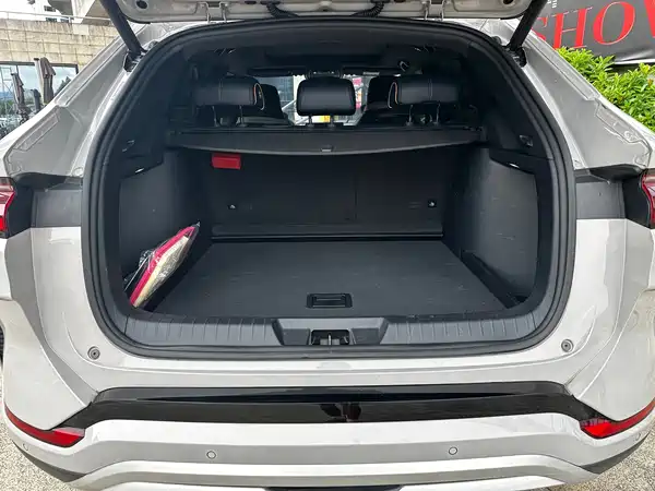 BYD Song PLUS New Energy 2024