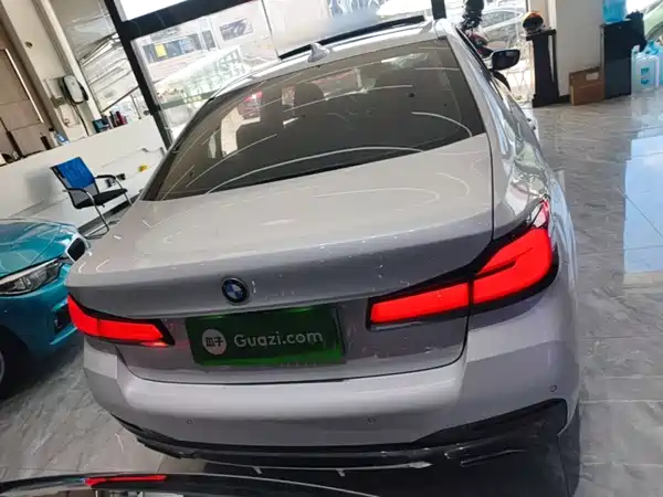 BMW 5 Series New Energy 2021