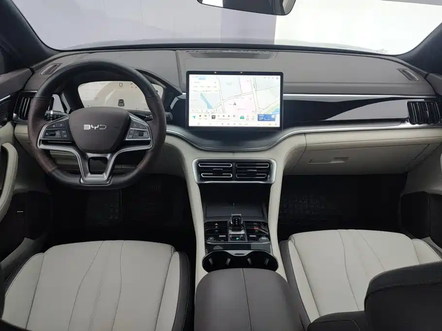 BYD Song PLUS New Energy 2024 — фото 12