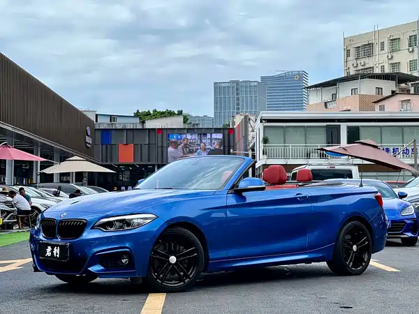 BMW 2 Series 2019