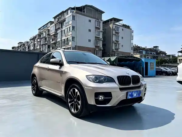 BMW X6 2010