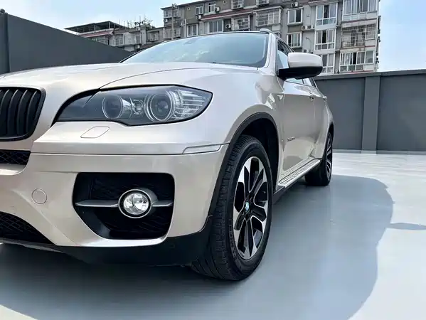 BMW X6 2010