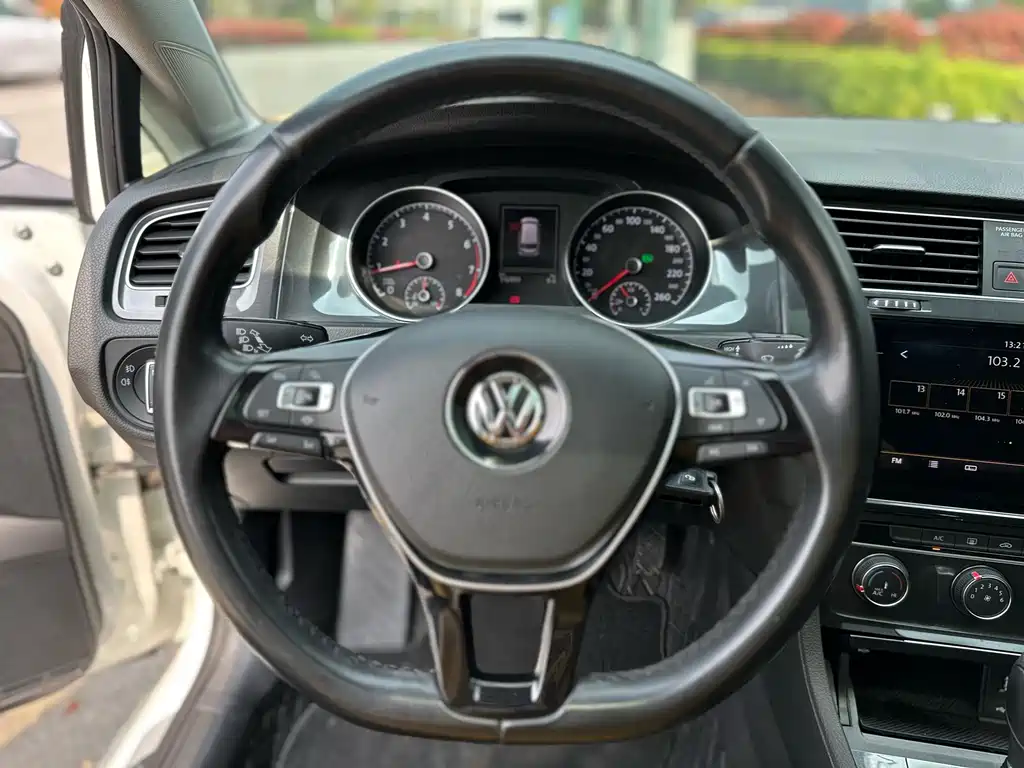 Volkswagen Golf 2019 — фото 14