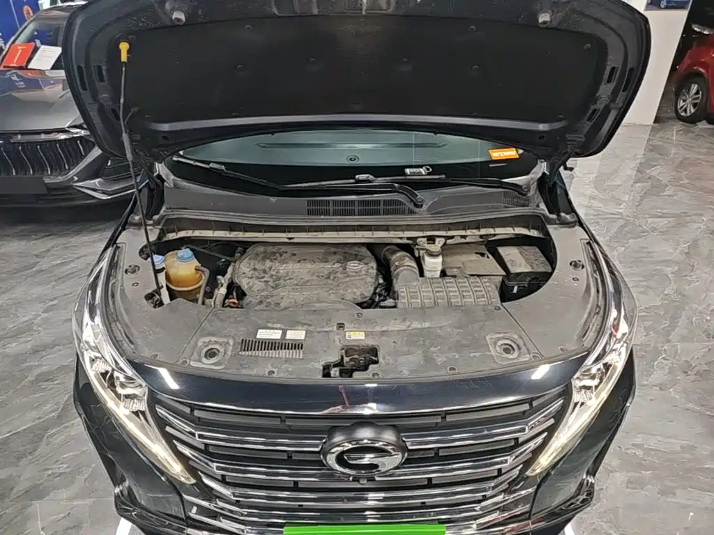GAC Motor Trumpchi M8 2021 — фото 20