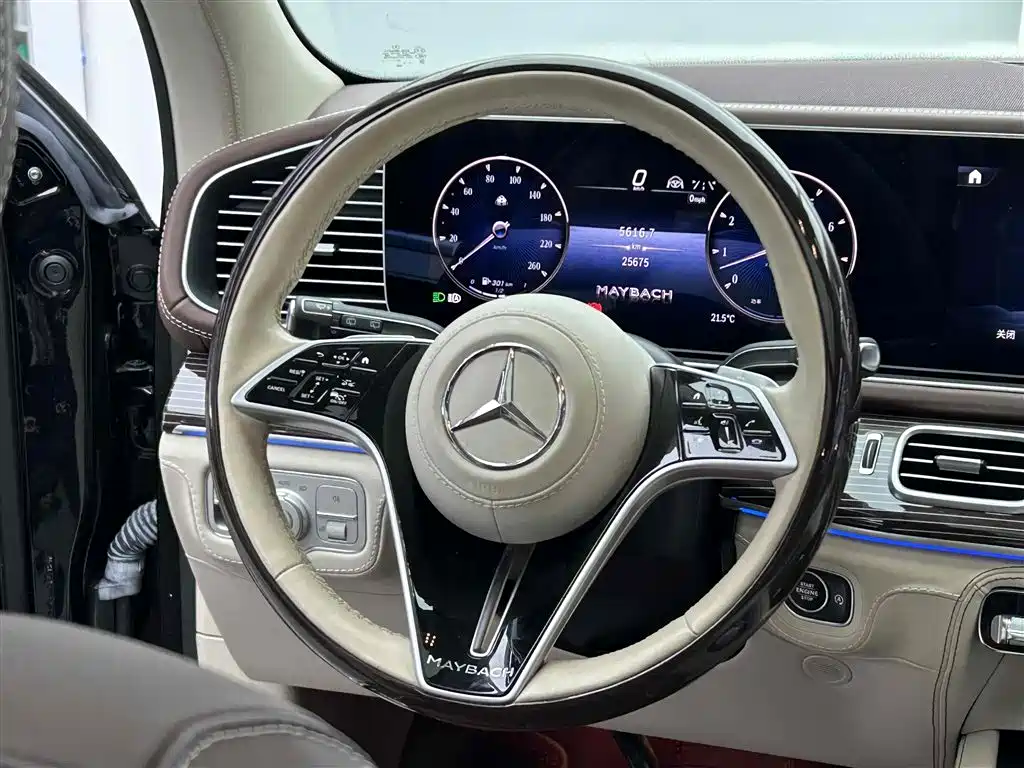Mercedes-Benz GLS 2024 — фото 12