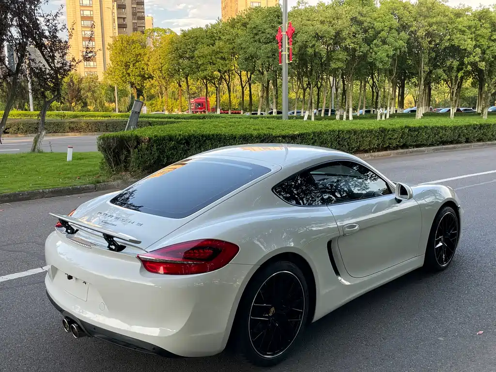 Porsche Cayman 2015 — фото 26
