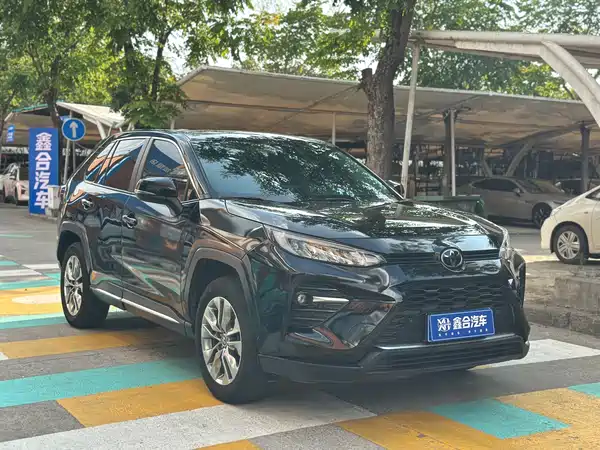 Toyota Wildlander 2020