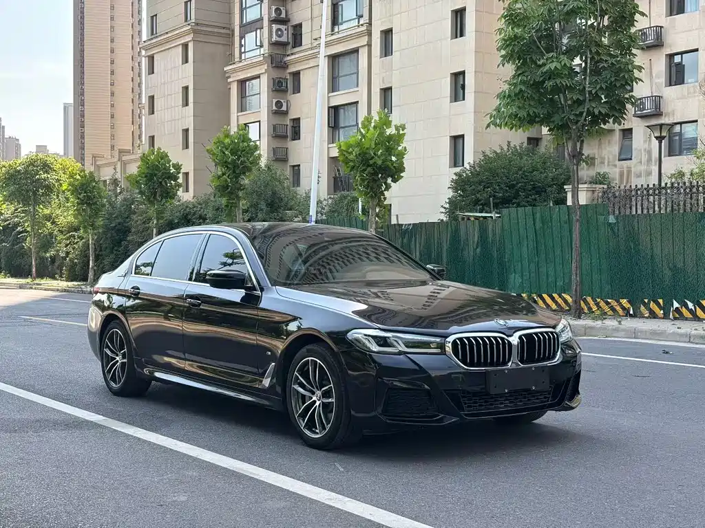 BMW 5 Series New Energy 2020 — фото 3
