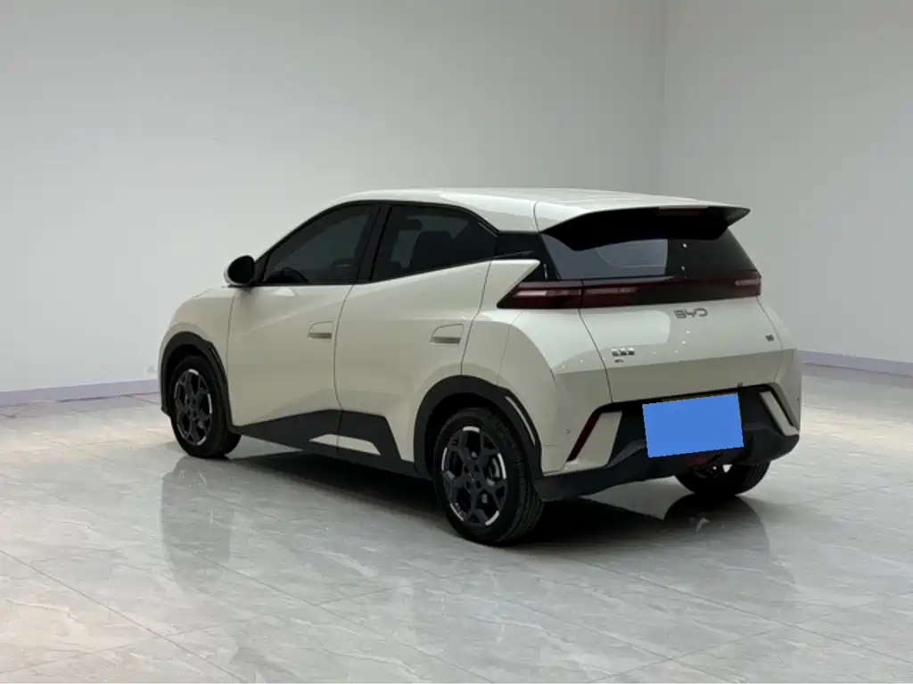 BYD Seagull 2024