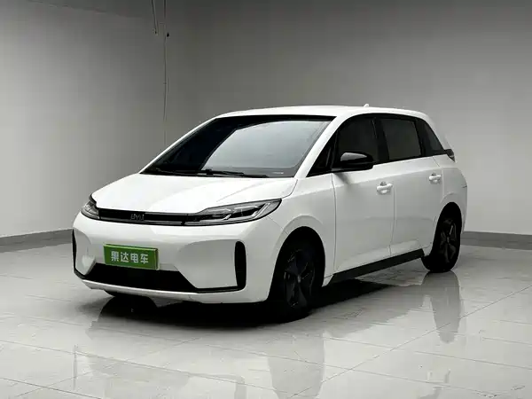 BYD D1 2023