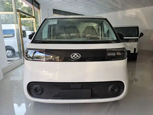 Maxus Dana V1 2023