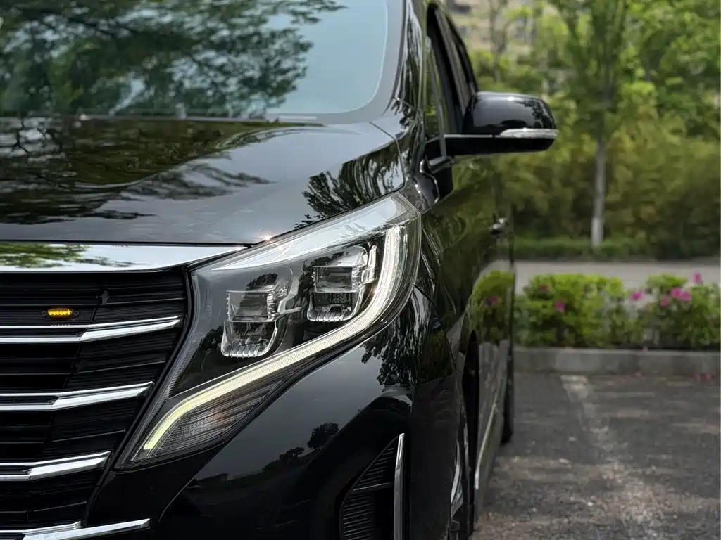 GAC Motor Trumpchi M8 2021 — фото 20